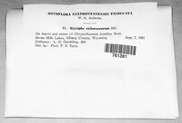 Image Associated With the Occurence